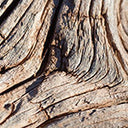 Sandal Wood<