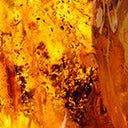 Amber