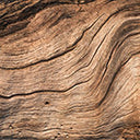 Guaiac Wood<