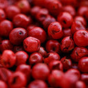 Pink Peppercorn