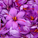 Saffron